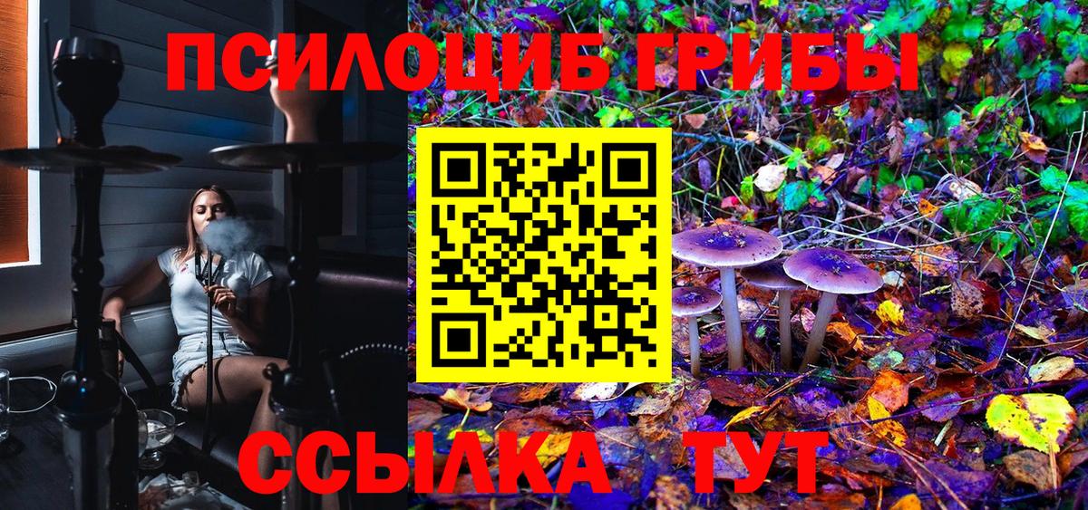 Галлюциногенные грибы Magic Shrooms  Вход с VPN  Реж 